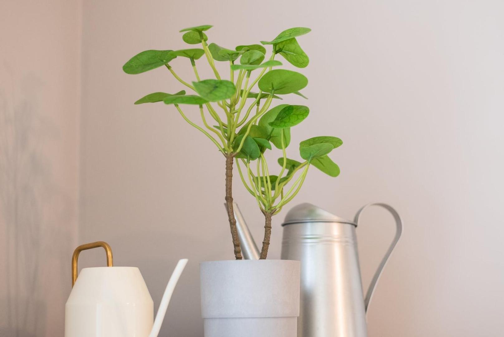 Guestready - Miragaia Green ポルト エクステリア 写真